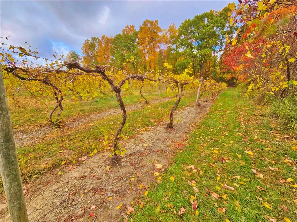 5506 Nys Route 14, Starkey, New York 14837, Starkey, New York 14837, ,Land,For Sale,5506 Nys Route 14, Starkey, New York 14837,0,R1647158