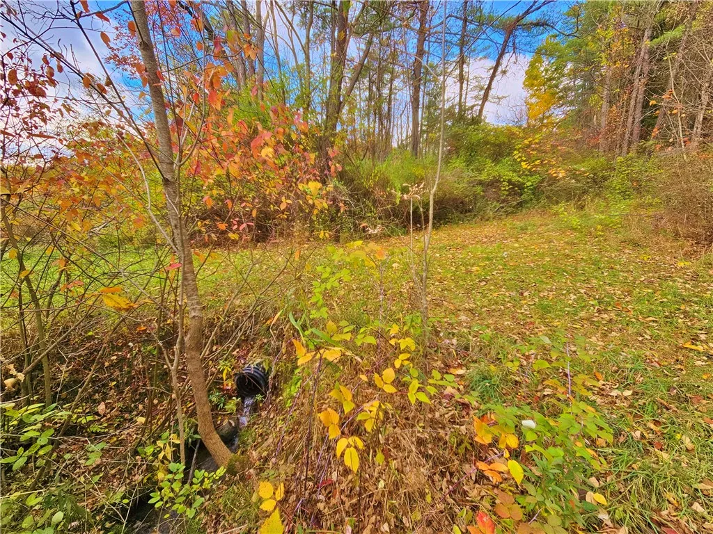 5506 Nys Route 14, Starkey, New York 14837, Starkey, New York 14837, ,Land,For Sale,5506 Nys Route 14, Starkey, New York 14837,0,R1647158