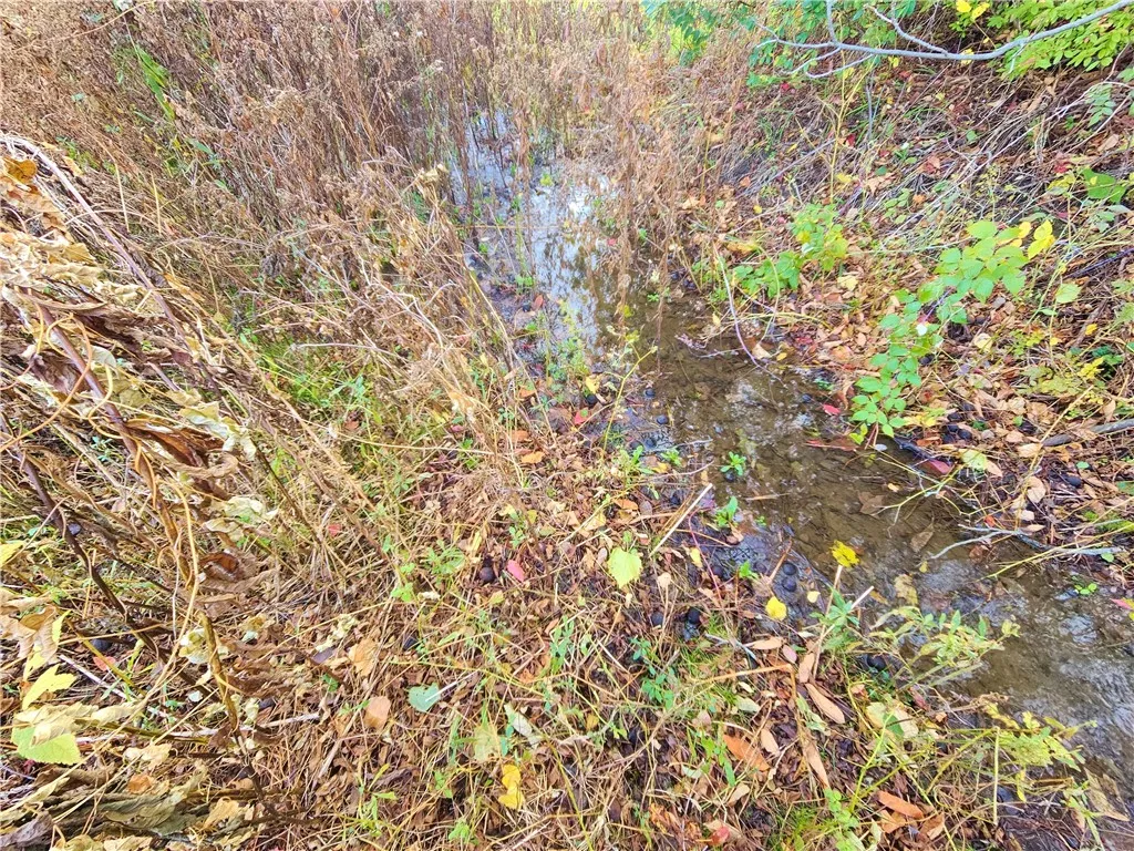 5506 Nys Route 14, Starkey, New York 14837, Starkey, New York 14837, ,Land,For Sale,5506 Nys Route 14, Starkey, New York 14837,0,R1647158