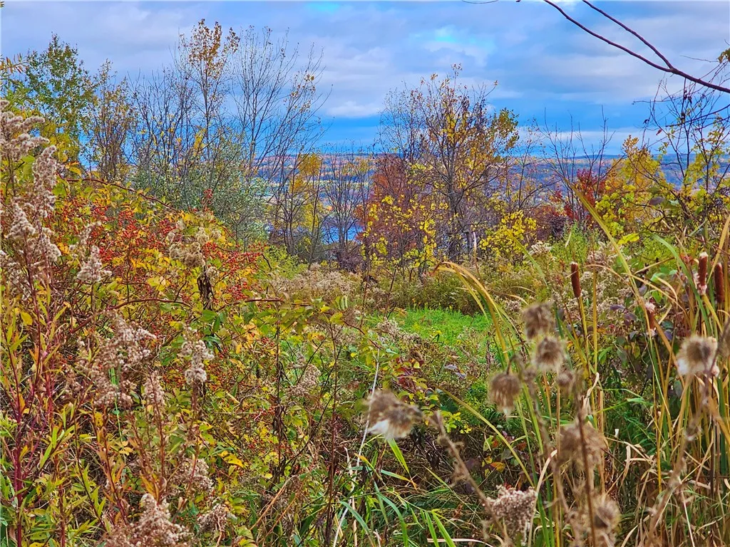 5506 Nys Route 14, Starkey, New York 14837, Starkey, New York 14837, ,Land,For Sale,5506 Nys Route 14, Starkey, New York 14837,0,R1647158