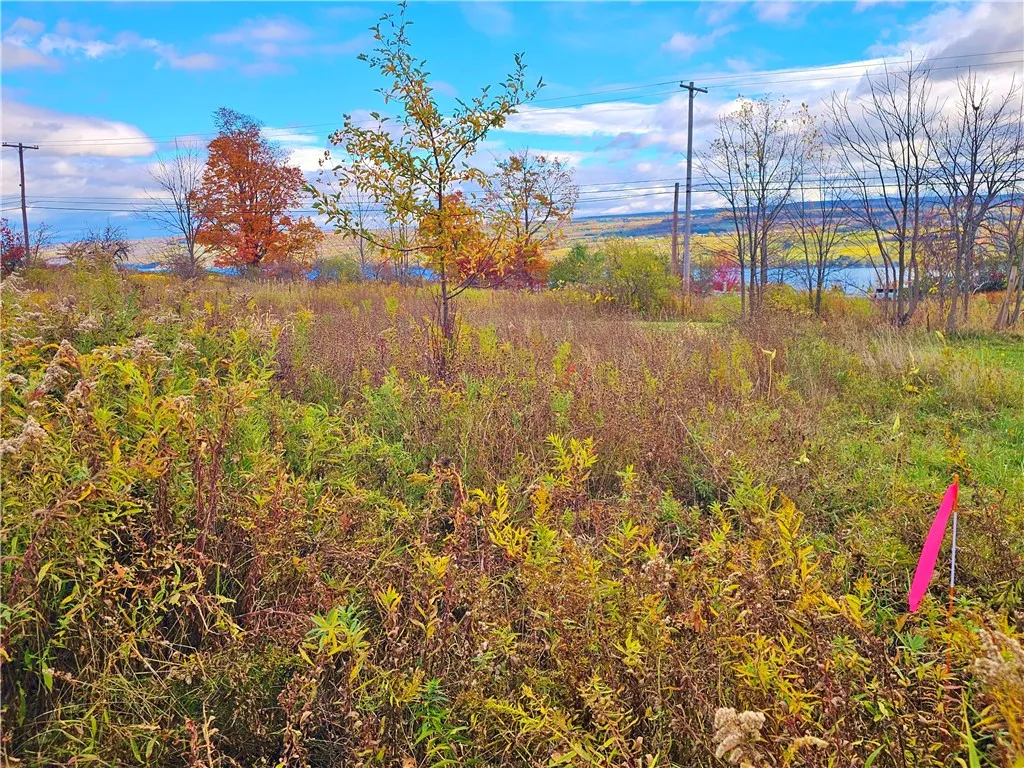 5506 Nys Route 14, Starkey, New York 14837, Starkey, New York 14837, ,Land,For Sale,5506 Nys Route 14, Starkey, New York 14837,0,R1647158