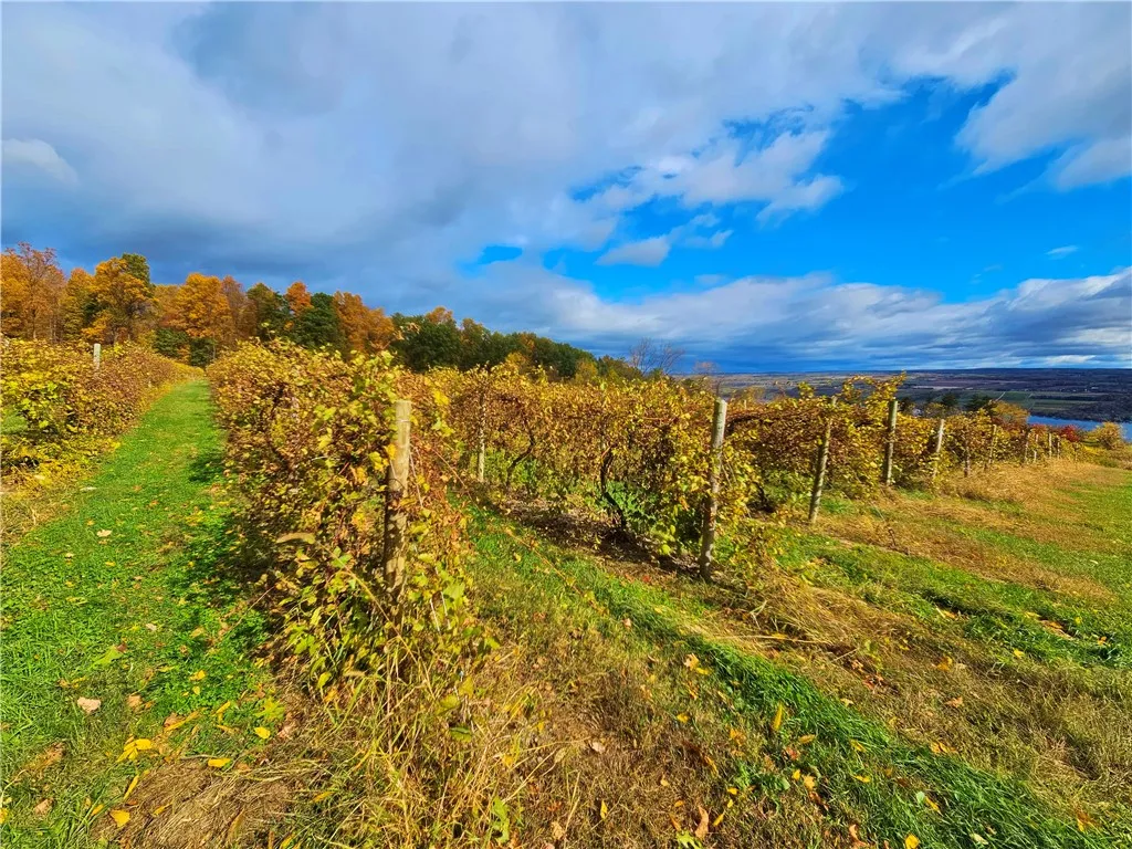 5506 Nys Route 14, Starkey, New York 14837, Starkey, New York 14837, ,Land,For Sale,5506 Nys Route 14, Starkey, New York 14837,0,R1647158