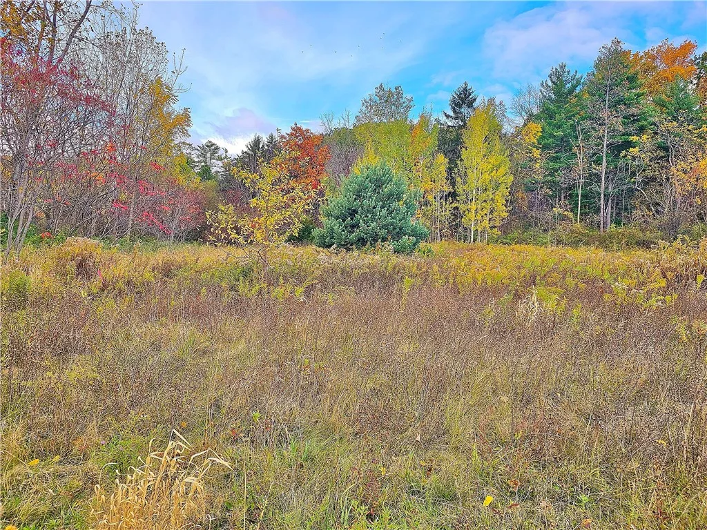 5506 Nys Route 14, Starkey, New York 14837, Starkey, New York 14837, ,Land,For Sale,5506 Nys Route 14, Starkey, New York 14837,0,R1647158