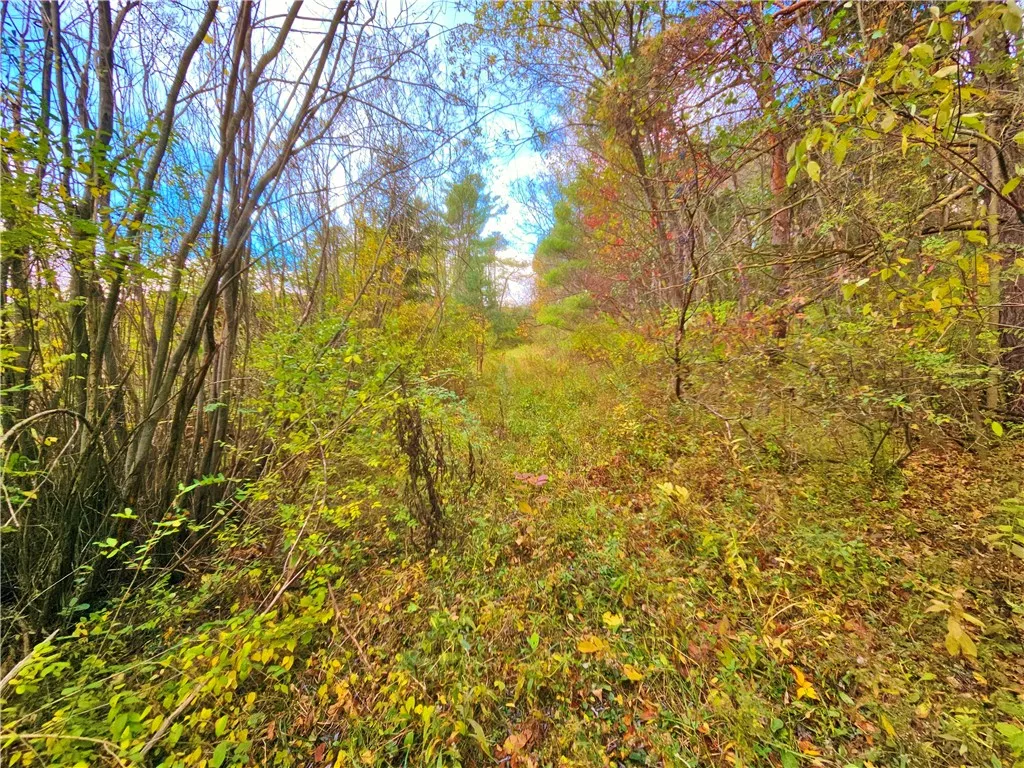 5506 Nys Route 14, Starkey, New York 14837, Starkey, New York 14837, ,Land,For Sale,5506 Nys Route 14, Starkey, New York 14837,0,R1647158