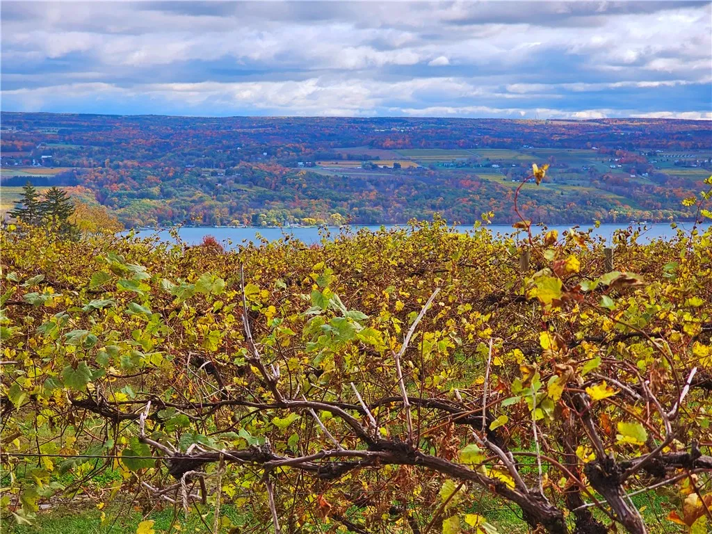 5506 Nys Route 14, Starkey, New York 14837, Starkey, New York 14837, ,Land,For Sale,5506 Nys Route 14, Starkey, New York 14837,0,R1647158