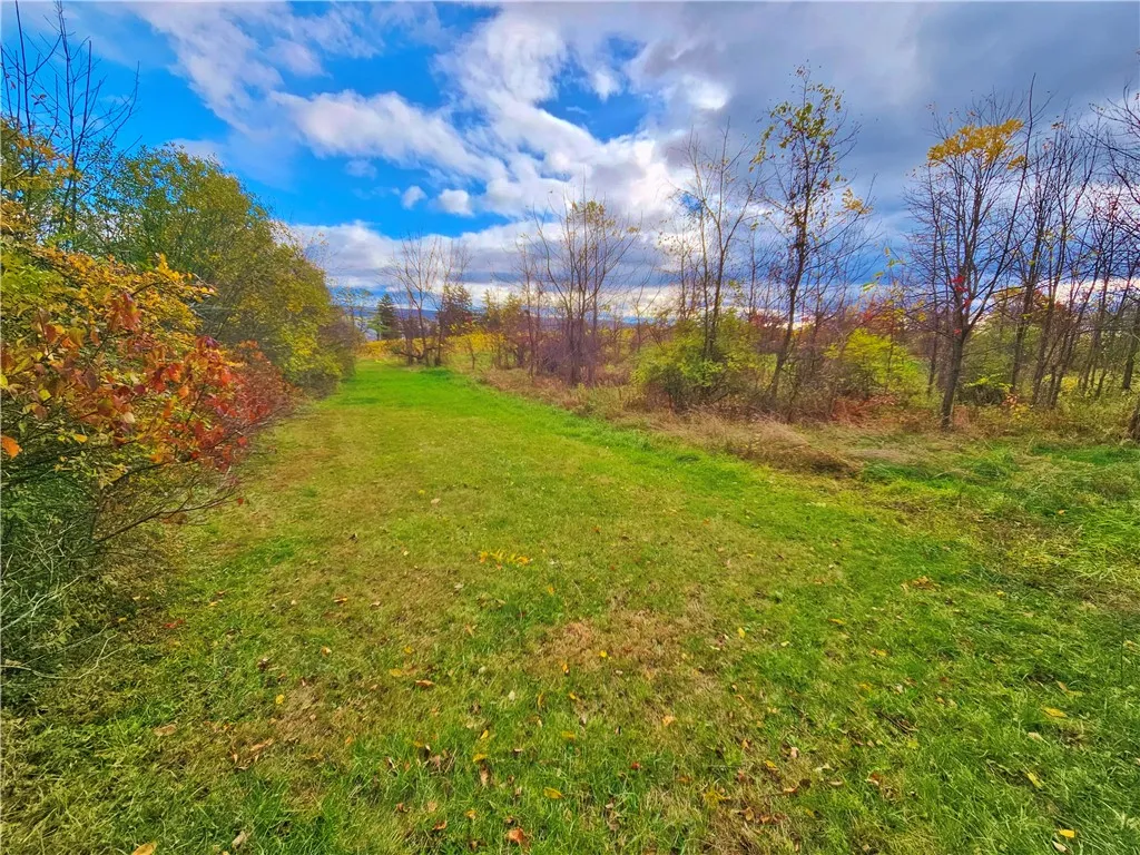 5506 Nys Route 14, Starkey, New York 14837, Starkey, New York 14837, ,Land,For Sale,5506 Nys Route 14, Starkey, New York 14837,0,R1647158