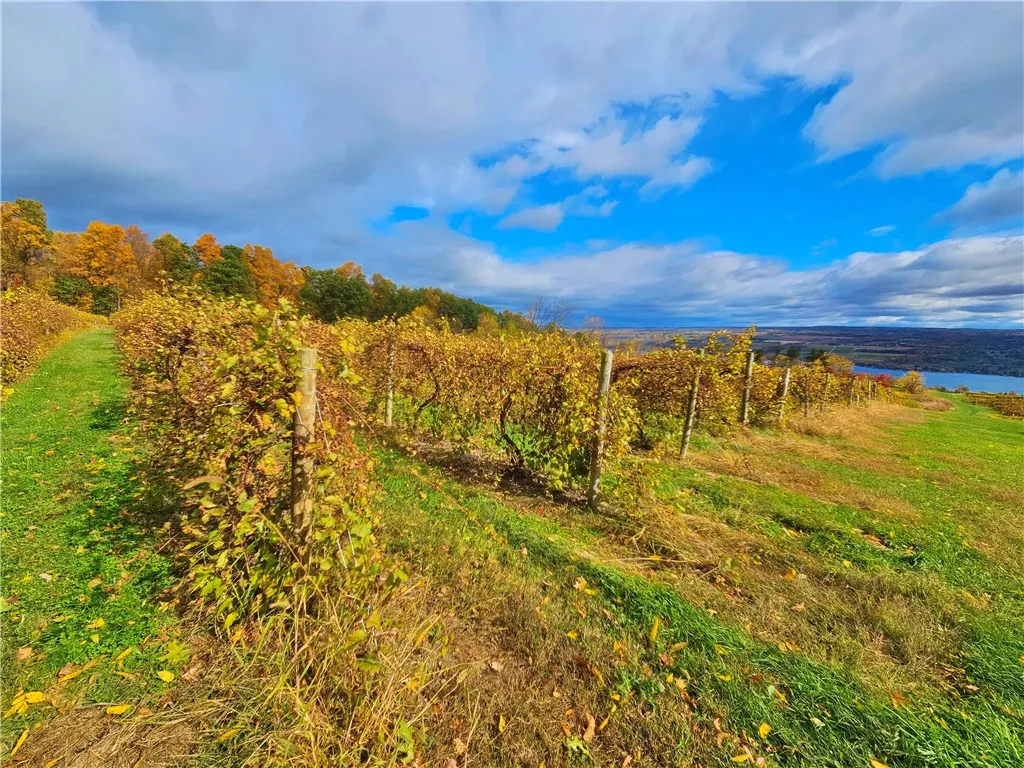 5506 Nys Route 14, Starkey, New York 14837, Starkey, New York 14837, ,Land,For Sale,5506 Nys Route 14, Starkey, New York 14837,0,R1647158