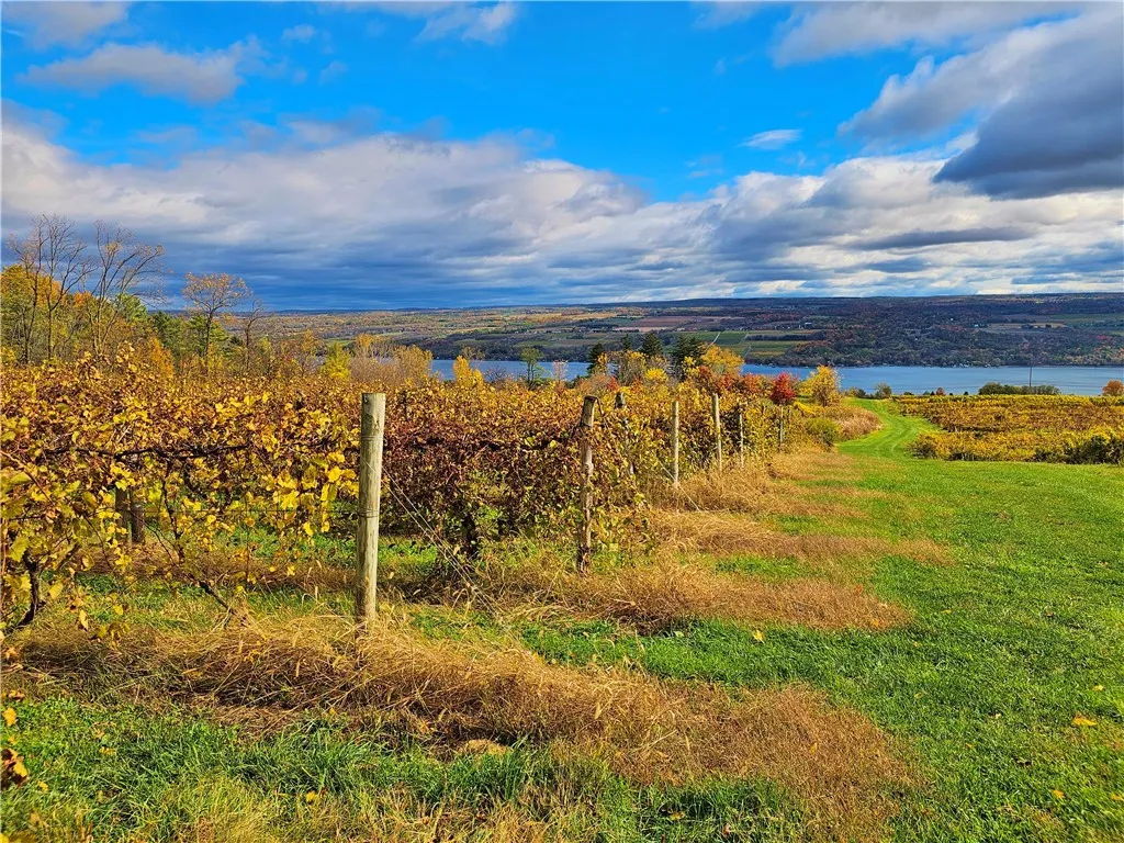 5506 Nys Route 14, Starkey, New York 14837, Starkey, New York 14837, ,Land,For Sale,5506 Nys Route 14, Starkey, New York 14837,0,R1647158