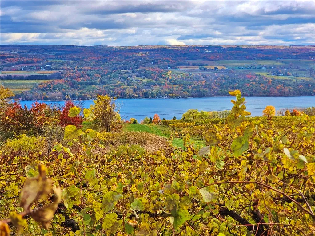 5506 Nys Route 14, Starkey, New York 14837, Starkey, New York 14837, ,Land,For Sale,5506 Nys Route 14, Starkey, New York 14837,0,R1647158