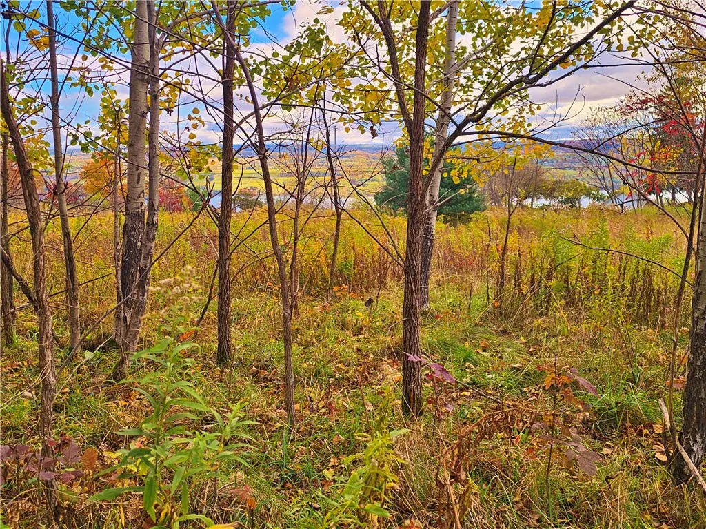 5506 Nys Route 14, Starkey, New York 14837, Starkey, New York 14837, ,Land,For Sale,5506 Nys Route 14, Starkey, New York 14837,0,R1647158