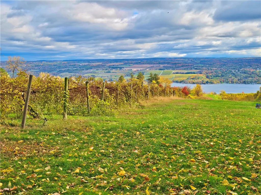 5506 Nys Route 14, Starkey, New York 14837, Starkey, New York 14837, ,Land,For Sale,5506 Nys Route 14, Starkey, New York 14837,0,R1647158