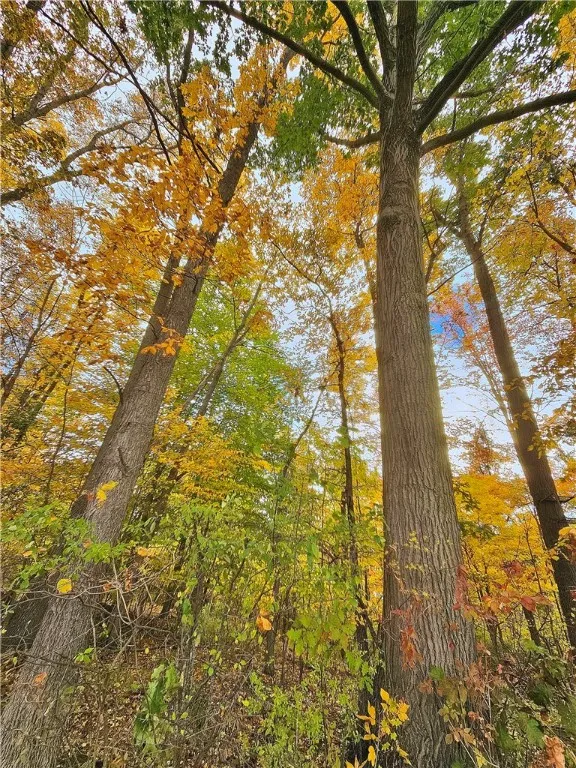 5506 Nys Route 14, Starkey, New York 14837, Starkey, New York 14837, ,Land,For Sale,5506 Nys Route 14, Starkey, New York 14837,0,R1647158