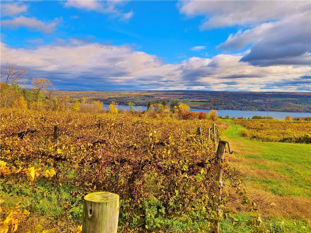 5506 Nys Route 14, Starkey, New York 14837, Starkey, New York 14837, ,Land,For Sale,5506 Nys Route 14, Starkey, New York 14837,0,R1647158