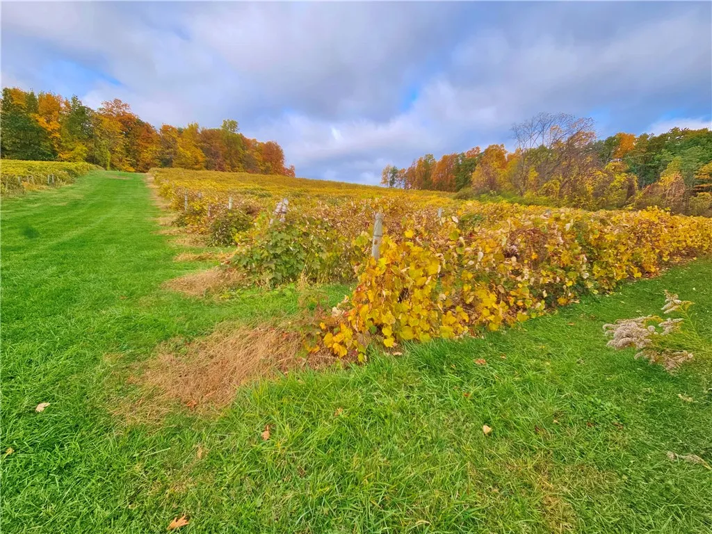 5506 Nys Route 14, Starkey, New York 14837, Starkey, New York 14837, ,Land,For Sale,5506 Nys Route 14, Starkey, New York 14837,0,R1647158