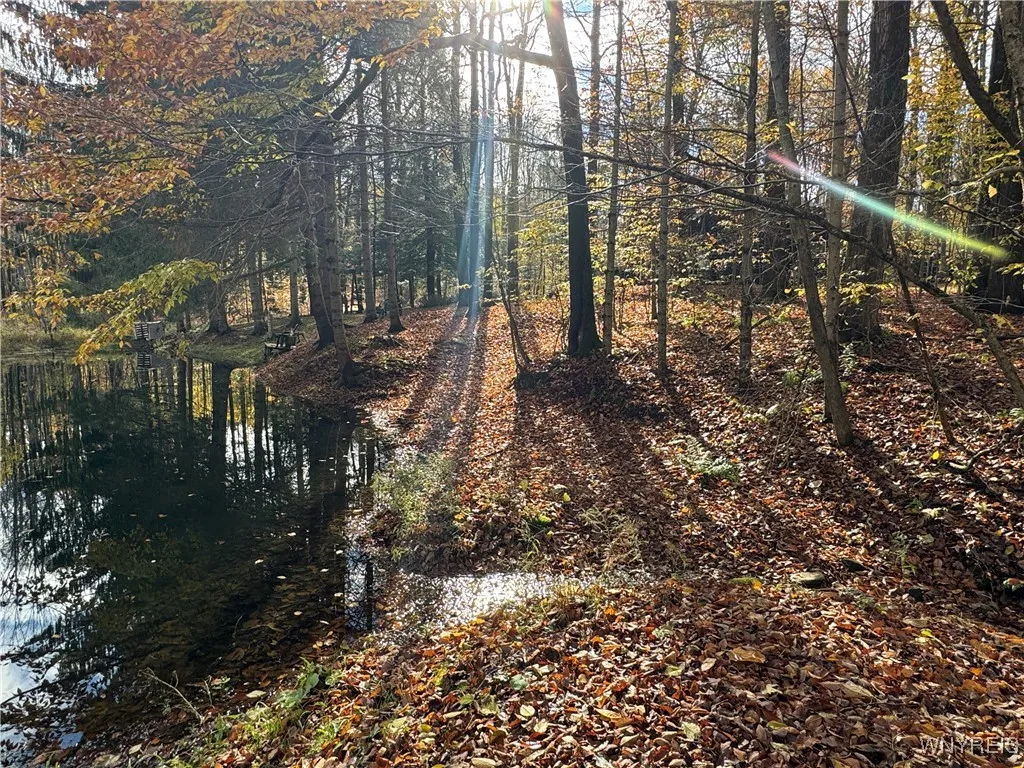 3890 Weber Road, Orangeville, New York 14569, Orangeville, New York 14569, 1 Bedroom Bedrooms, 5 Rooms Rooms,1 BathroomBathrooms,Residential,For Sale,3890 Weber Road, Orangeville, New York 14569,0,B1647584