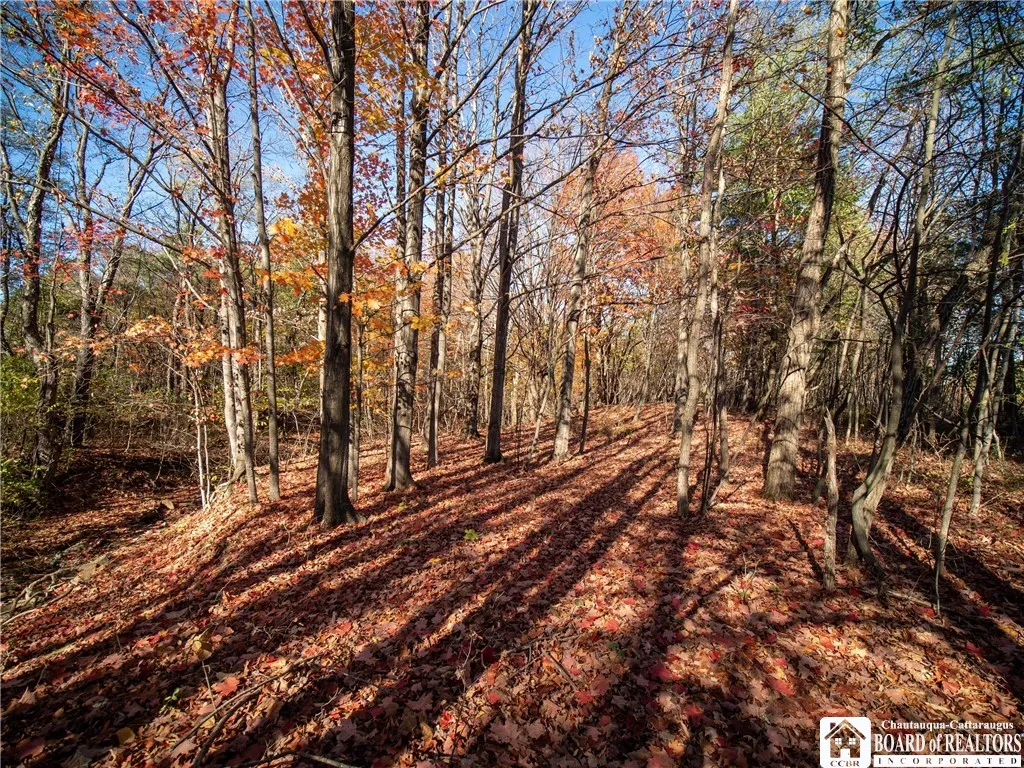 Stone Road West, Pomfret, New York 14063, Pomfret, New York 14063, ,Land,For Sale,Stone Road West, Pomfret, New York 14063,0,R1646889