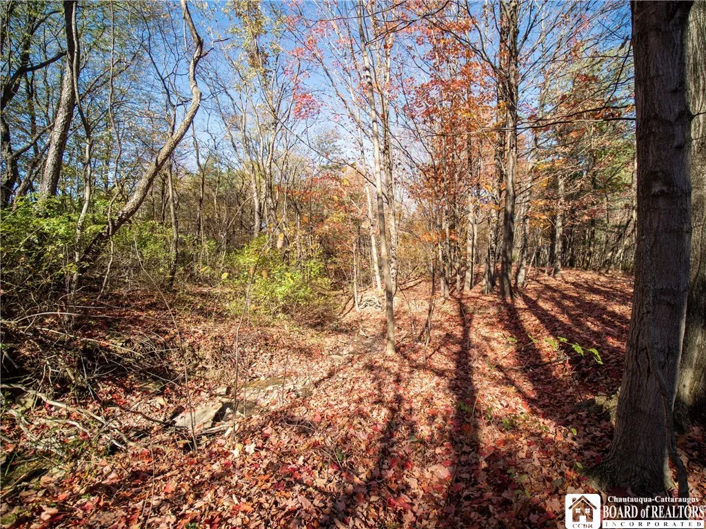 Stone Road West, Pomfret, New York 14063, Pomfret, New York 14063, ,Land,For Sale,Stone Road West, Pomfret, New York 14063,0,R1646889