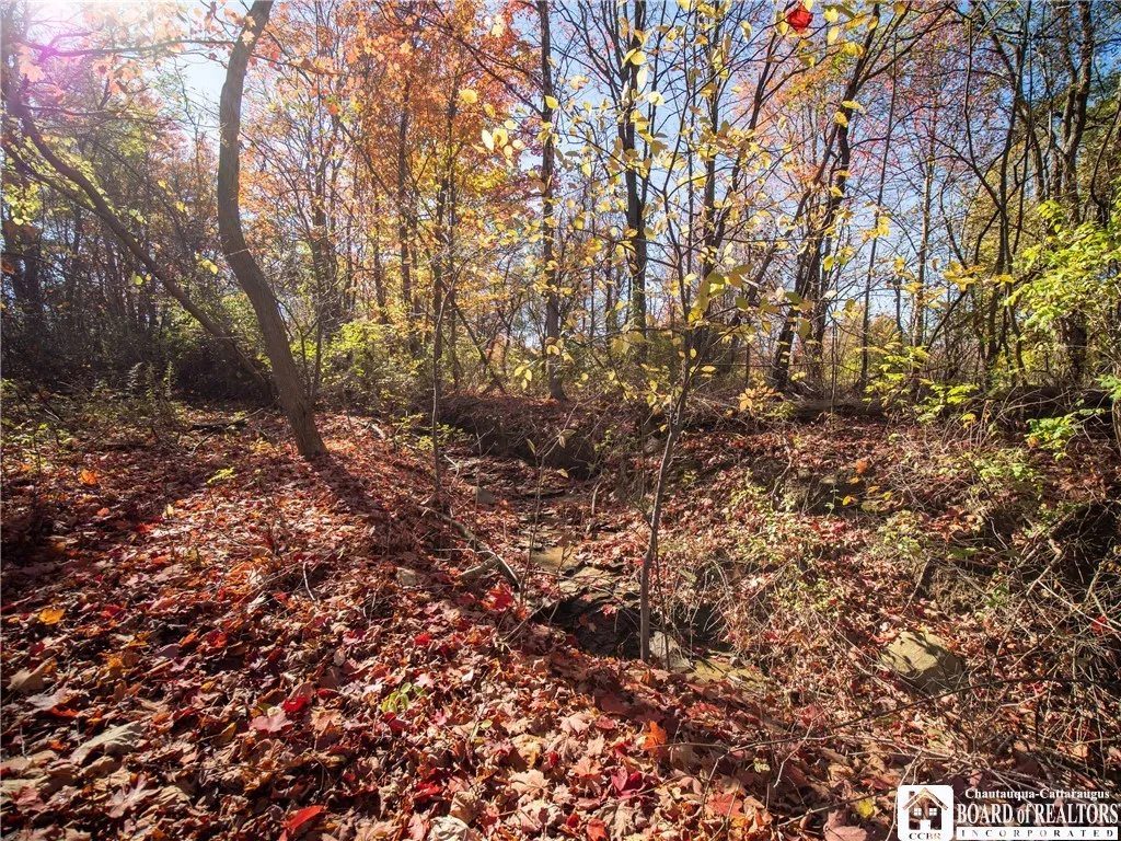 Stone Road West, Pomfret, New York 14063, Pomfret, New York 14063, ,Land,For Sale,Stone Road West, Pomfret, New York 14063,0,R1646889