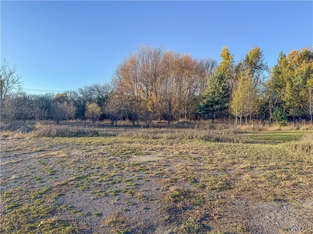 Bellew Avenue South, Watertown City, New York 1360, Watertown City, New York 13601, ,Land,For Sale,Bellew Avenue South, Watertown City, New York 1360,0,S1646652