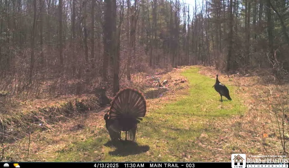 4273 Waterman Road, Stockton, New York 14784, Stockton, New York 14784, 3 Bedrooms Bedrooms, 7 Rooms Rooms,2 BathroomsBathrooms,Residential,For Sale,4273 Waterman Road, Stockton, New York 14784,0,R1647495