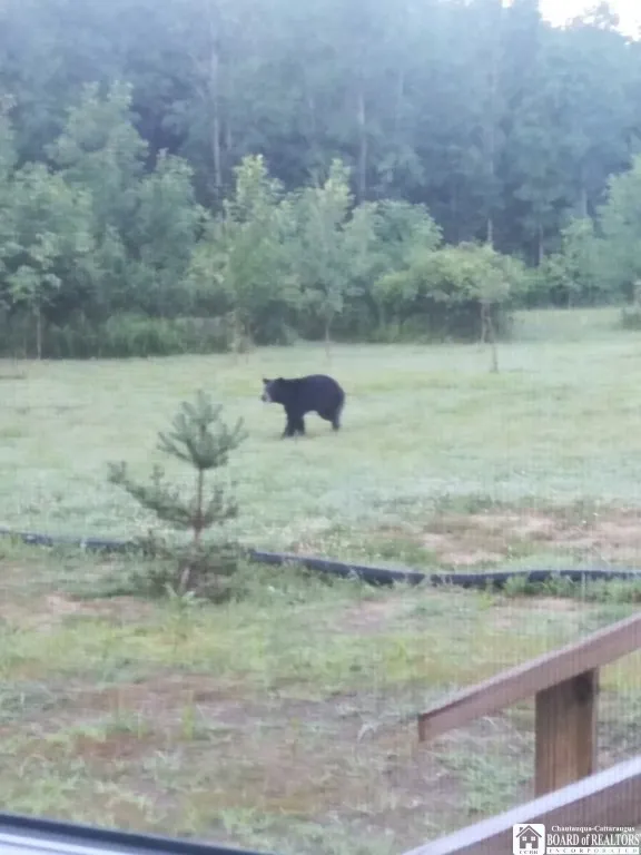 4273 Waterman Road, Stockton, New York 14784, Stockton, New York 14784, 3 Bedrooms Bedrooms, 7 Rooms Rooms,2 BathroomsBathrooms,Residential,For Sale,4273 Waterman Road, Stockton, New York 14784,0,R1647495