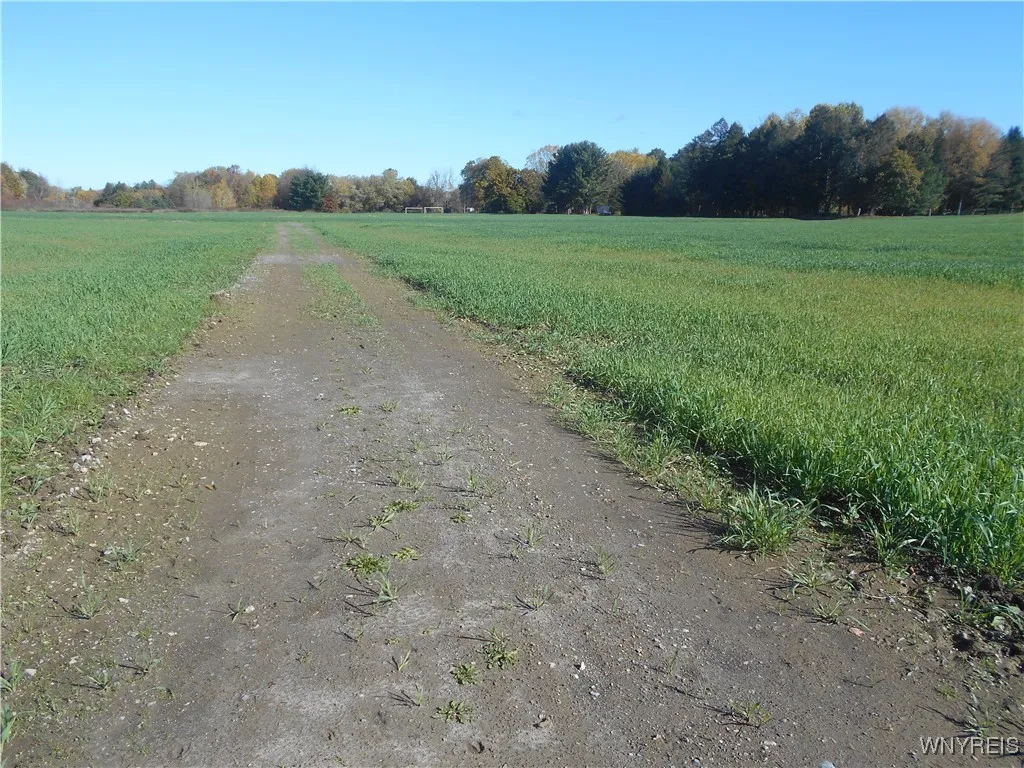 Gowanda State Road, Hamburg, New York 14075, Hamburg, New York 14075, ,Land,For Sale,Gowanda State Road, Hamburg, New York 14075,0,B1647613