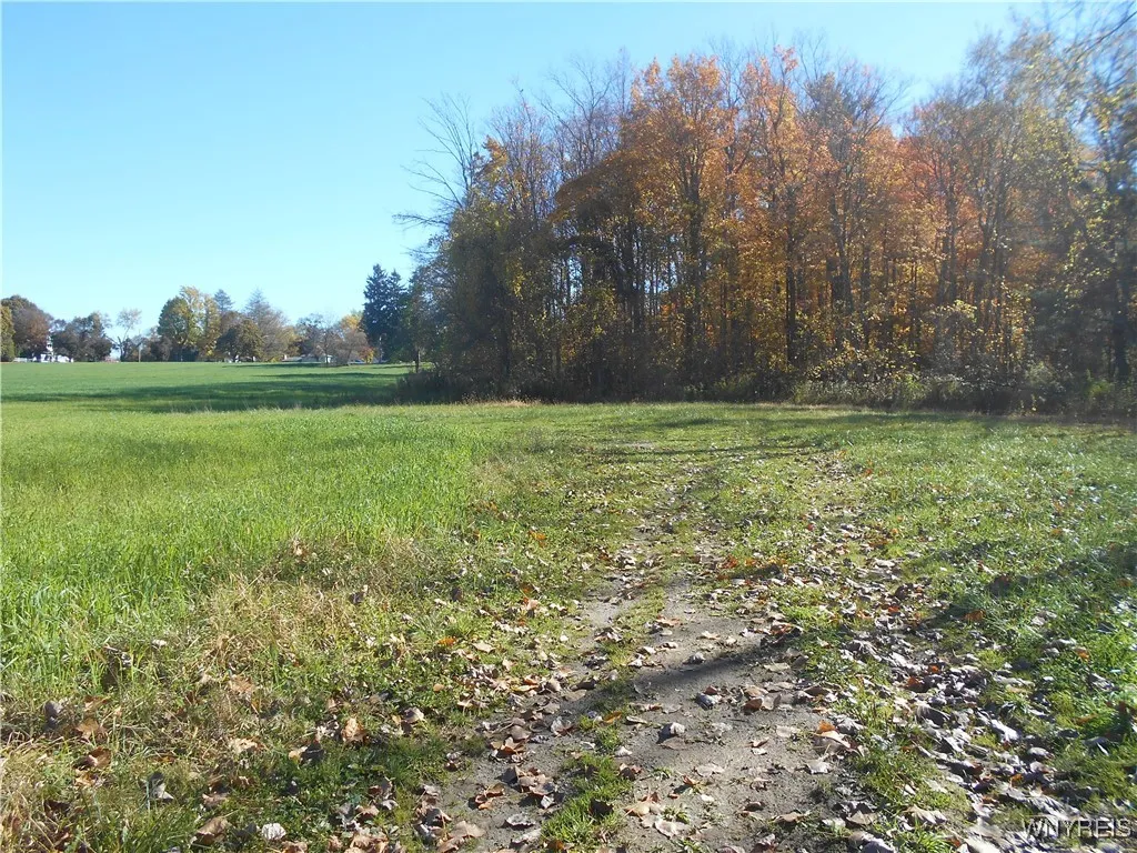 Gowanda State Road, Hamburg, New York 14075, Hamburg, New York 14075, ,Land,For Sale,Gowanda State Road, Hamburg, New York 14075,0,B1647613