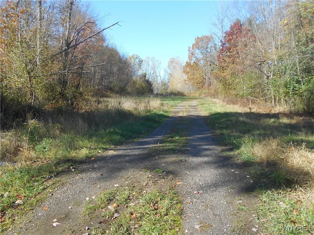 Gowanda State Road, Hamburg, New York 14075, Hamburg, New York 14075, ,Land,For Sale,Gowanda State Road, Hamburg, New York 14075,0,B1647613