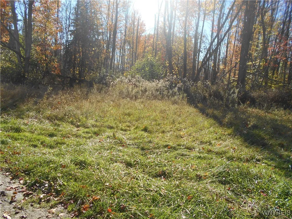 Gowanda State Road, Hamburg, New York 14075, Hamburg, New York 14075, ,Land,For Sale,Gowanda State Road, Hamburg, New York 14075,0,B1647613