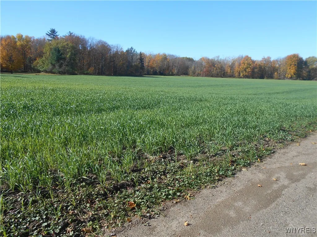 Gowanda State Road, Hamburg, New York 14075, Hamburg, New York 14075, ,Land,For Sale,Gowanda State Road, Hamburg, New York 14075,0,B1647613
