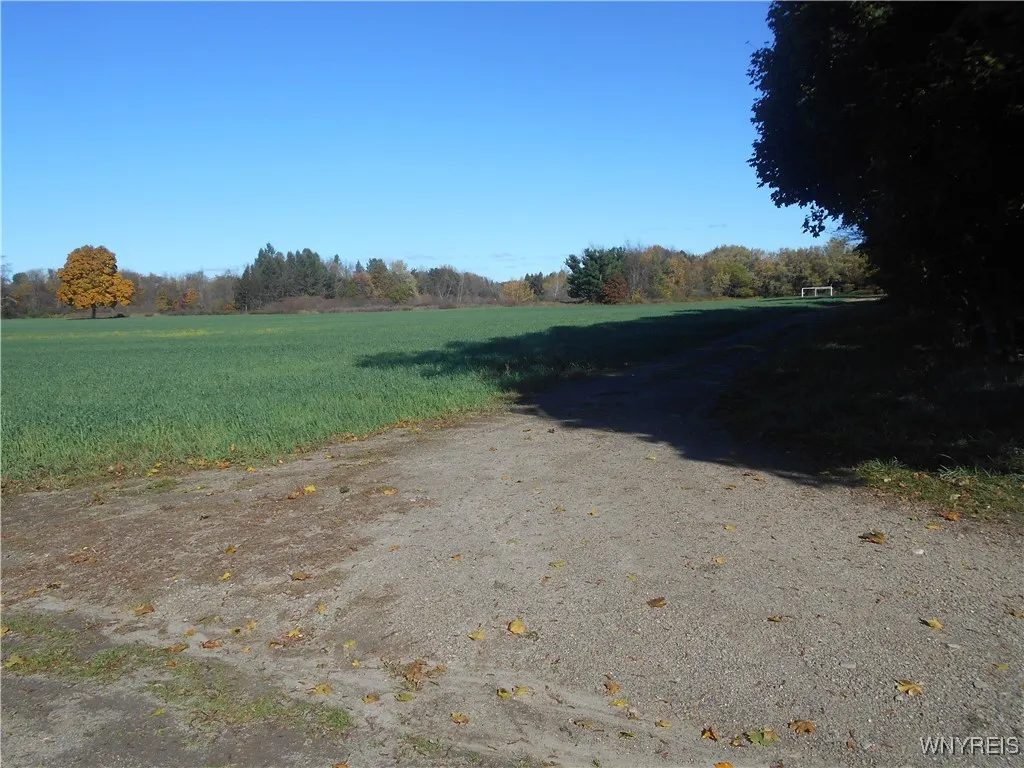 Gowanda State Road, Hamburg, New York 14075, Hamburg, New York 14075, ,Land,For Sale,Gowanda State Road, Hamburg, New York 14075,0,B1647613