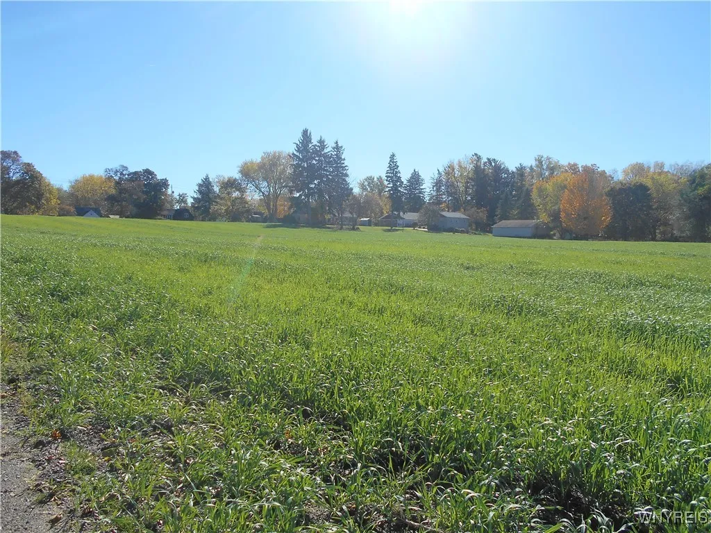 Gowanda State Road, Hamburg, New York 14075, Hamburg, New York 14075, ,Land,For Sale,Gowanda State Road, Hamburg, New York 14075,0,B1647613