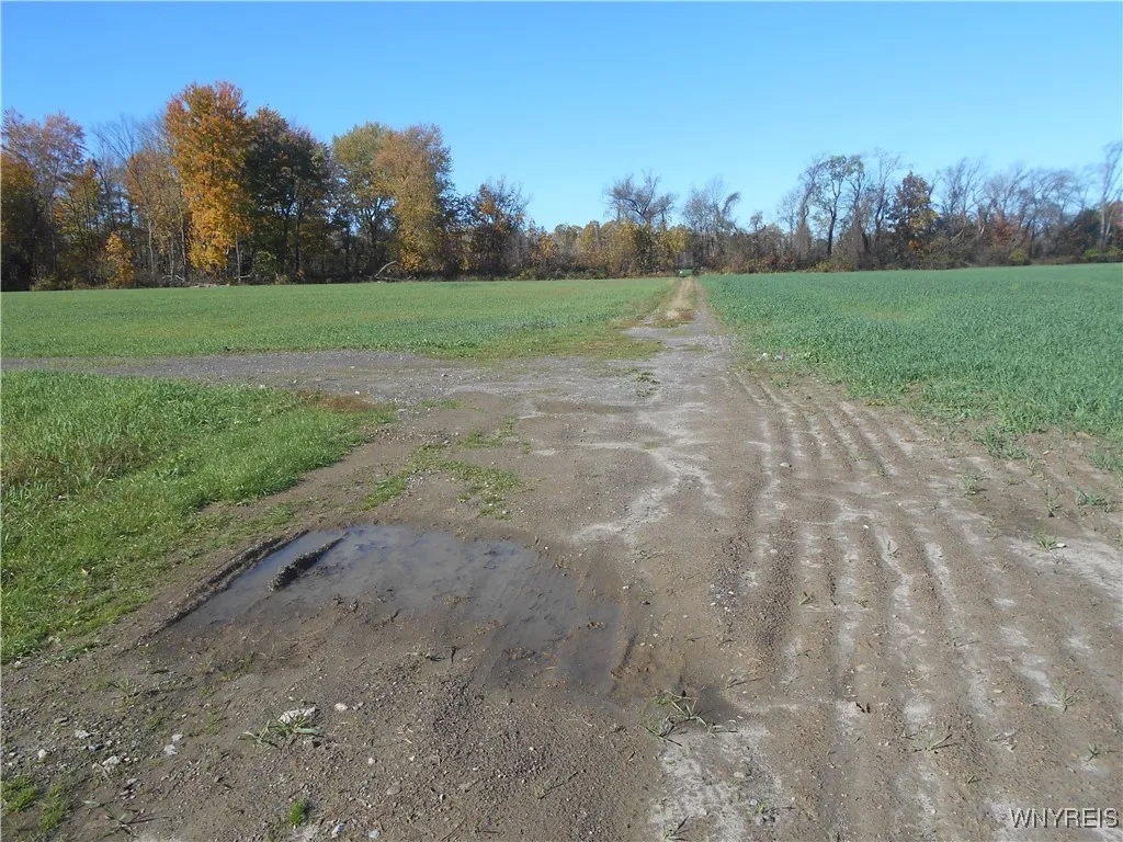 Gowanda State Road, Hamburg, New York 14075, Hamburg, New York 14075, ,Land,For Sale,Gowanda State Road, Hamburg, New York 14075,0,B1647613