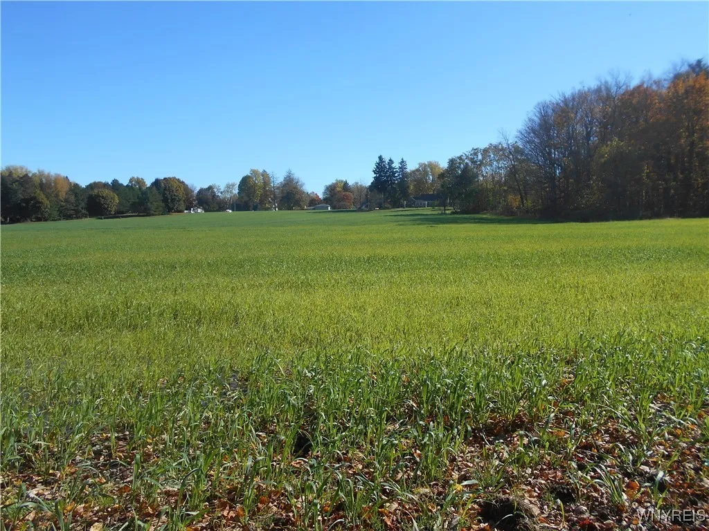 Gowanda State Road, Hamburg, New York 14075, Hamburg, New York 14075, ,Land,For Sale,Gowanda State Road, Hamburg, New York 14075,0,B1647613
