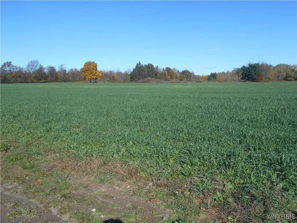 Gowanda State Road, Hamburg, New York 14075, Hamburg, New York 14075, ,Land,For Sale,Gowanda State Road, Hamburg, New York 14075,0,B1647613