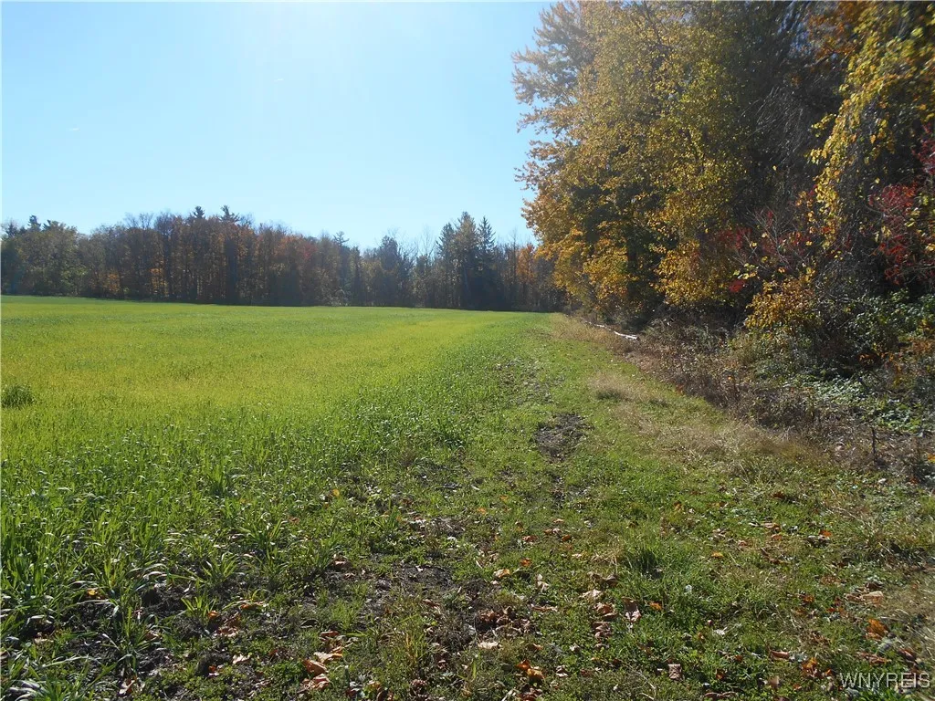 Gowanda State Road, Hamburg, New York 14075, Hamburg, New York 14075, ,Land,For Sale,Gowanda State Road, Hamburg, New York 14075,0,B1647613