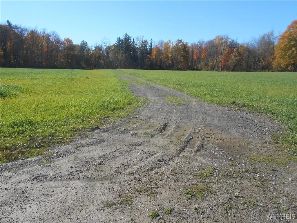 Gowanda State Road, Hamburg, New York 14075, Hamburg, New York 14075, ,Land,For Sale,Gowanda State Road, Hamburg, New York 14075,0,B1647613