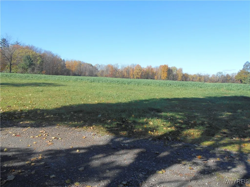 Gowanda State Road, Hamburg, New York 14075, Hamburg, New York 14075, ,Land,For Sale,Gowanda State Road, Hamburg, New York 14075,0,B1647613
