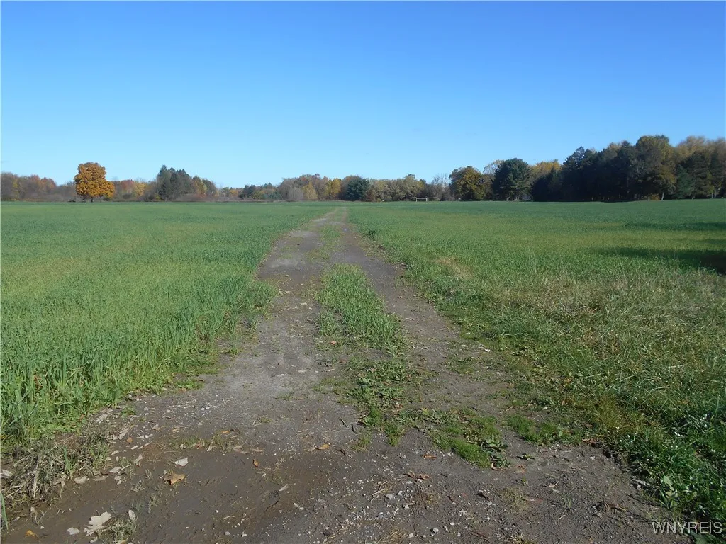 Gowanda State Road, Hamburg, New York 14075, Hamburg, New York 14075, ,Land,For Sale,Gowanda State Road, Hamburg, New York 14075,0,B1647613