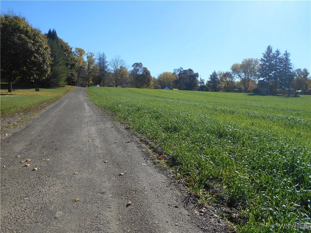 Gowanda State Road, Hamburg, New York 14075, Hamburg, New York 14075, ,Land,For Sale,Gowanda State Road, Hamburg, New York 14075,0,B1647613