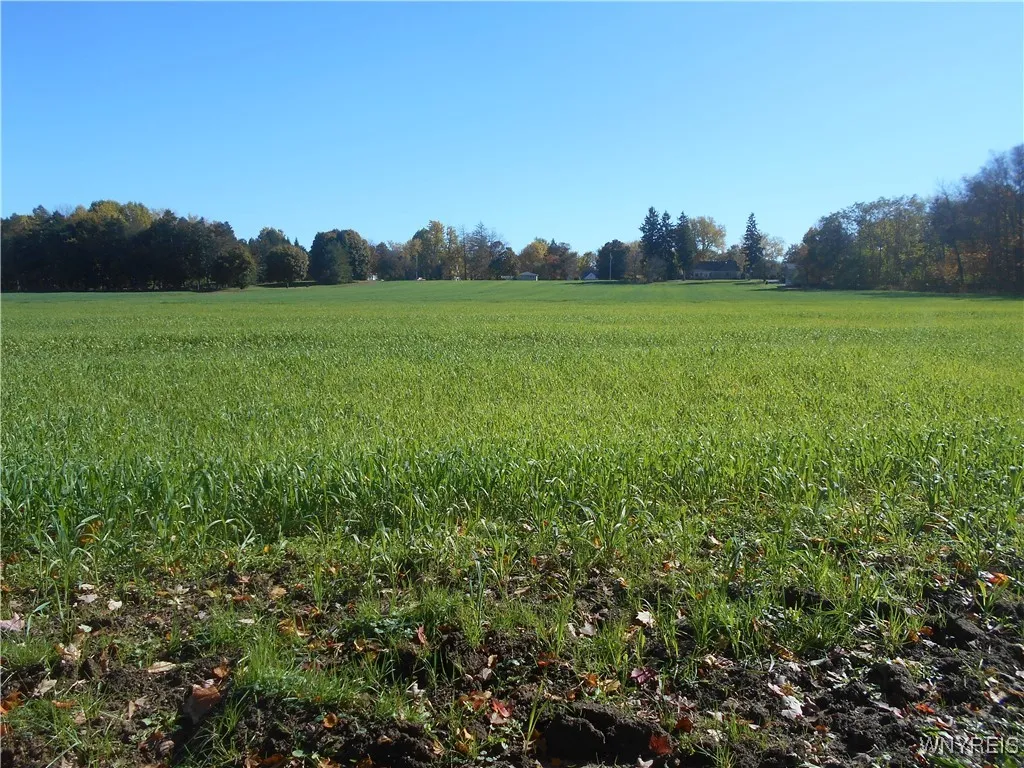 Gowanda State Road, Hamburg, New York 14075, Hamburg, New York 14075, ,Land,For Sale,Gowanda State Road, Hamburg, New York 14075,0,B1647613