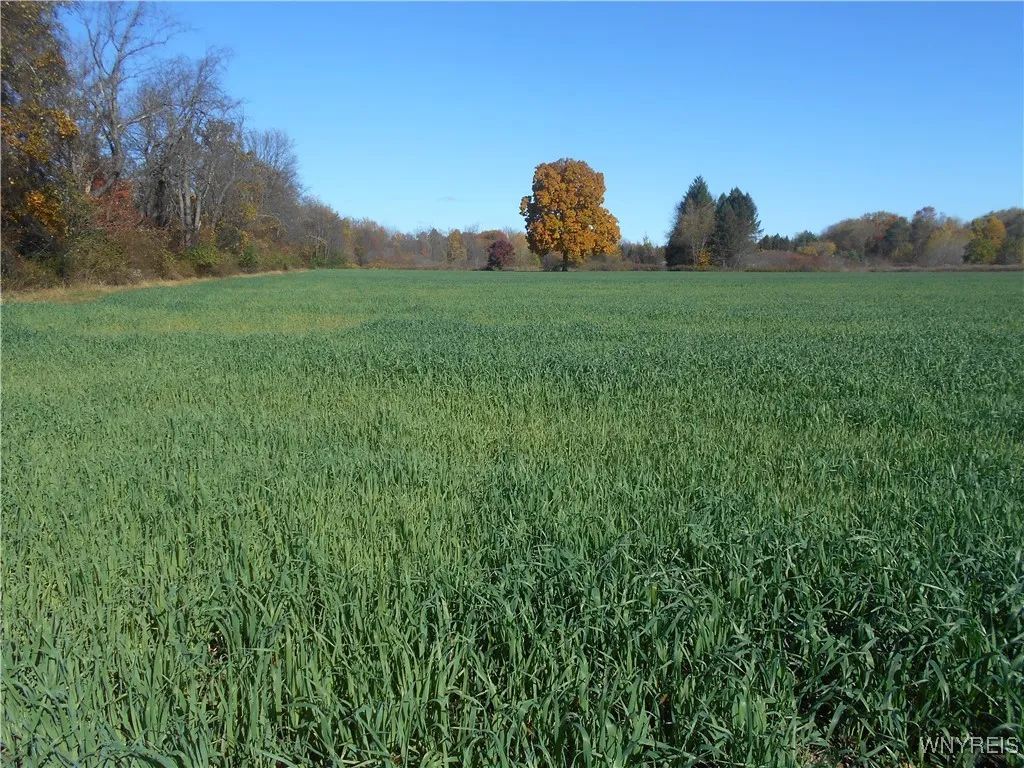 Gowanda State Road, Hamburg, New York 14075, Hamburg, New York 14075, ,Land,For Sale,Gowanda State Road, Hamburg, New York 14075,0,B1647613