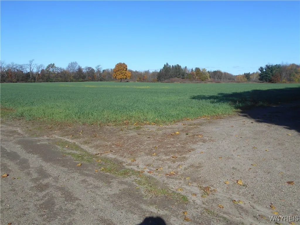 Gowanda State Road, Hamburg, New York 14075, Hamburg, New York 14075, ,Land,For Sale,Gowanda State Road, Hamburg, New York 14075,0,B1647613