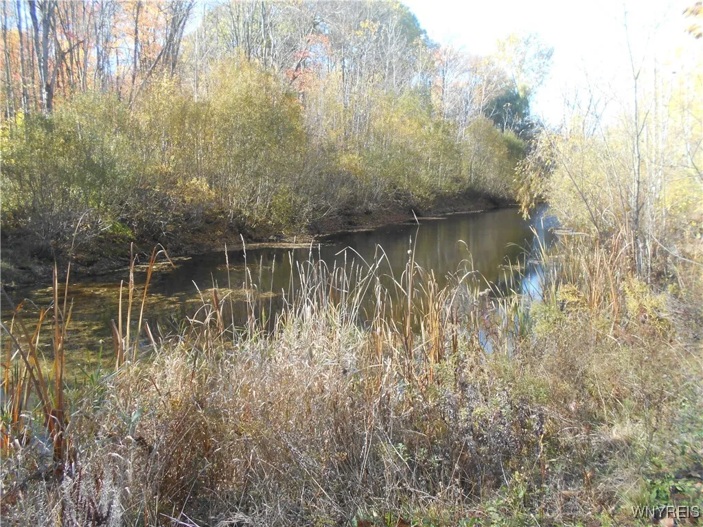 Gowanda State Road, Hamburg, New York 14075, Hamburg, New York 14075, ,Land,For Sale,Gowanda State Road, Hamburg, New York 14075,0,B1647613