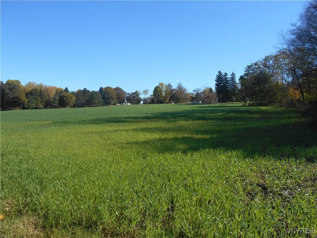 Gowanda State Road, Hamburg, New York 14075, Hamburg, New York 14075, ,Land,For Sale,Gowanda State Road, Hamburg, New York 14075,0,B1647613