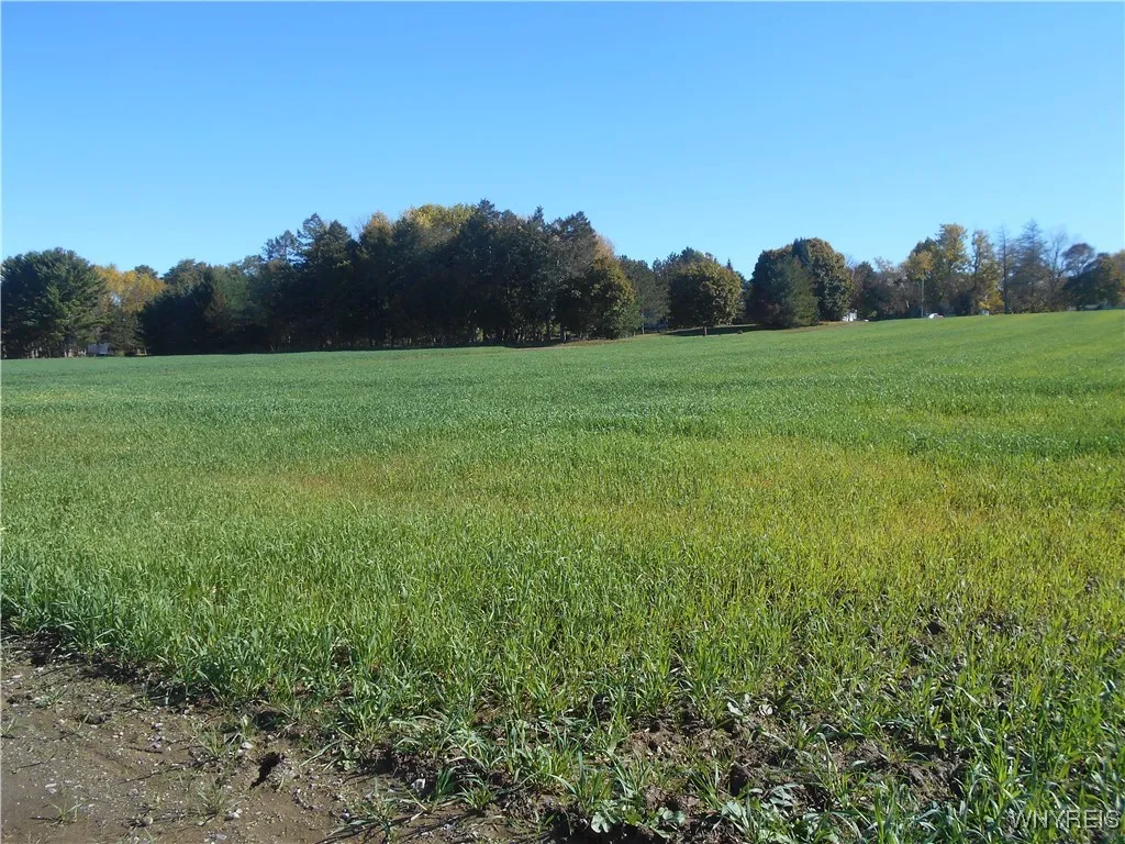 Gowanda State Road, Hamburg, New York 14075, Hamburg, New York 14075, ,Land,For Sale,Gowanda State Road, Hamburg, New York 14075,0,B1647613