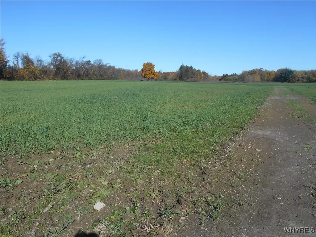 Gowanda State Road, Hamburg, New York 14075, Hamburg, New York 14075, ,Land,For Sale,Gowanda State Road, Hamburg, New York 14075,0,B1647613