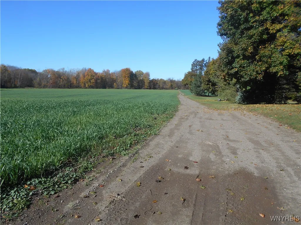 Gowanda State Road, Hamburg, New York 14075, Hamburg, New York 14075, ,Land,For Sale,Gowanda State Road, Hamburg, New York 14075,0,B1647613