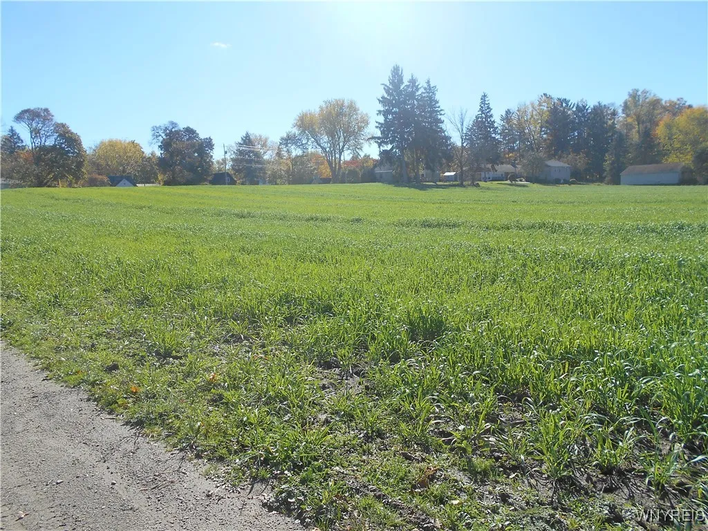 Gowanda State Road, Hamburg, New York 14075, Hamburg, New York 14075, ,Land,For Sale,Gowanda State Road, Hamburg, New York 14075,0,B1647613