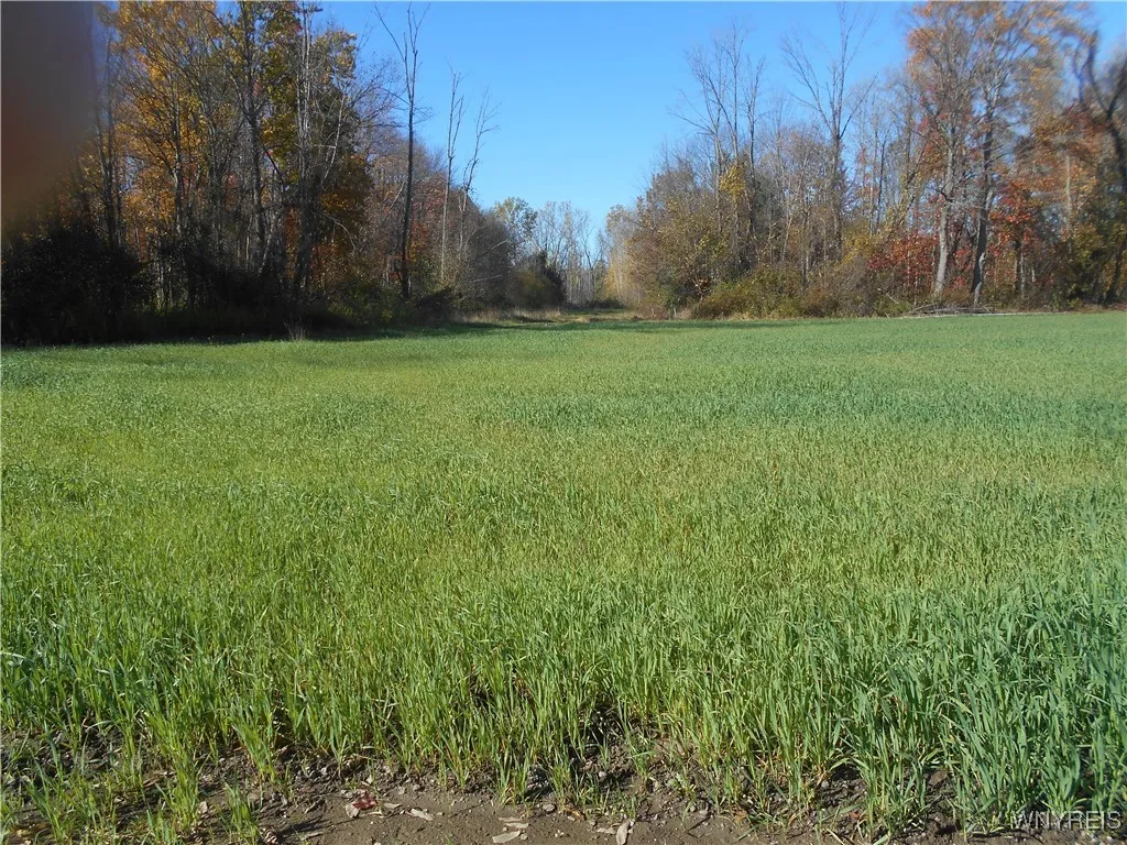 Gowanda State Road, Hamburg, New York 14075, Hamburg, New York 14075, ,Land,For Sale,Gowanda State Road, Hamburg, New York 14075,0,B1647613